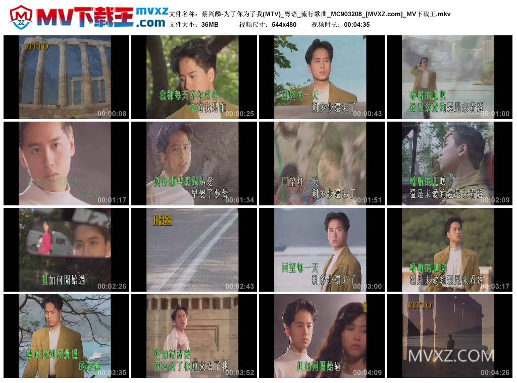 蔡兴麟-为了你为了我(MTV)_粤语_流行歌曲_MC903208